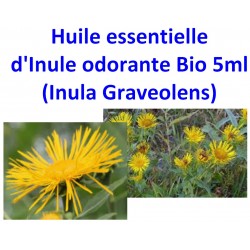 Huile Essentielle d' Inule Odorante Bio 5 ml